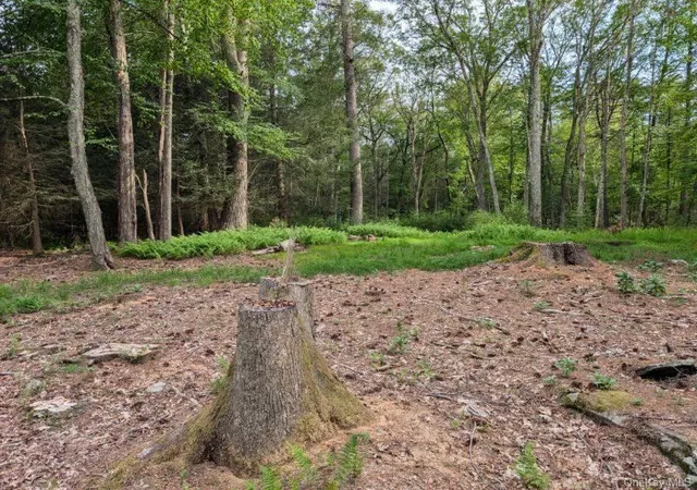 Homes for sale in Highland, NY | Eldred-Yulan Rd, Highland, NY 12792 | MLS# 979887