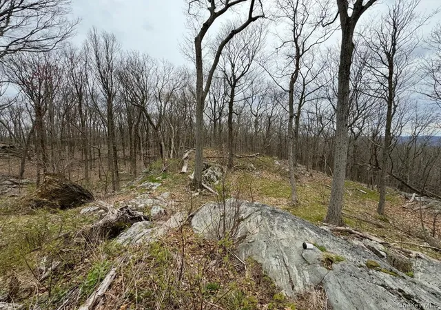 Homes for sale in East Fishkill, NY | Woodmont Road, East Fishkill, NY 12533 | MLS# 979893