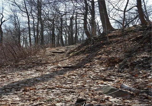 3rd image of 242 Tweed Blvd, Nyack, NY 10960 | MLS# 980984