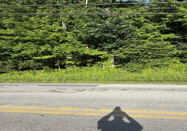 2nd image of Wells, Newburgh, NY 12550 | MLS# 981241