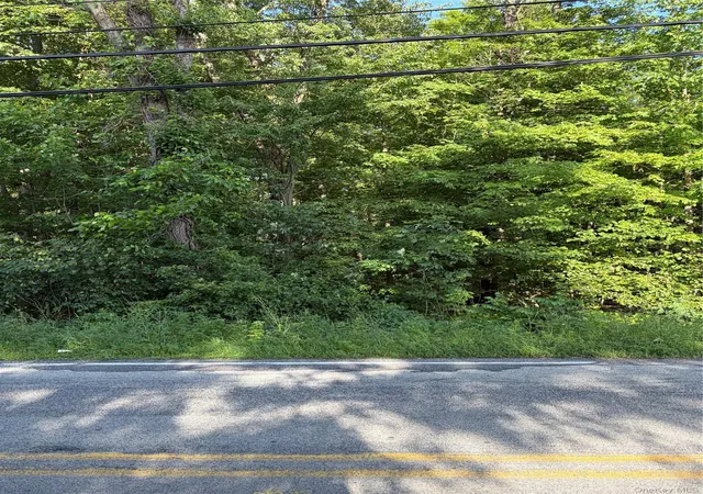 4th image of Wells, Newburgh, NY 12550 | MLS# 981241