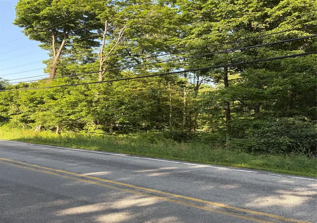 5th image of Wells, Newburgh, NY 12550 | MLS# 981241