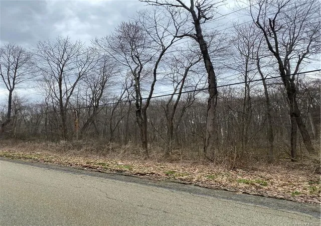 Photo 3 of Land for sale at South Ml St, Newburgh, NY 12550 | MLS# 981997 | Listing updated on 2026-04-11