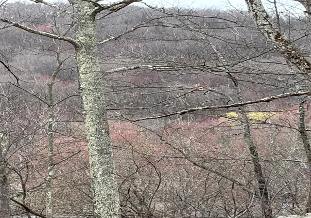 1st image of Fox Mountain, Livingston Manor, NY 12758 | MLS# 983253