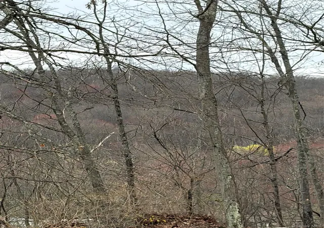 2nd image of Fox Mountain, Livingston Manor, NY 12758 | MLS# 983253