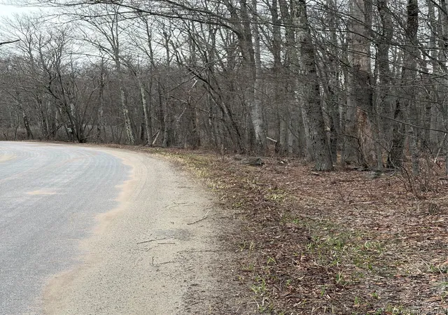 4th image of Fox Mountain, Livingston Manor, NY 12758 | MLS# 983253