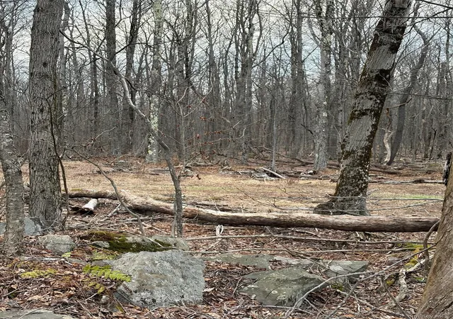 5th image of Fox Mountain, Livingston Manor, NY 12758 | MLS# 983253