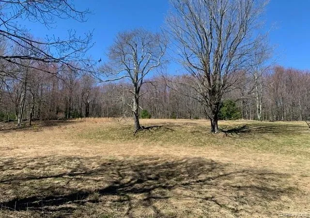2nd image of 25 Wild Turnpike Turnpike, Rock Hill, NY 12775 | MLS# 984146