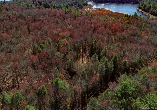 Photo 2 of Land for sale at Lot 2 Deer Meadow Rd, Bethel, NY 12720 | MLS# 984392 | Listing updated on 2026-07-07