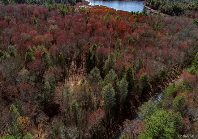 Photo 3 of Land for sale at Lot 2 Deer Meadow Rd, Bethel, NY 12720 | MLS# 984392 | Listing updated on 2026-07-07