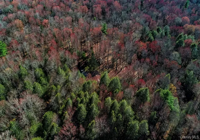 Photo 5 of Land for sale at Lot 2 Deer Meadow Rd, Bethel, NY 12720 | MLS# 984392 | Listing updated on 2026-07-07