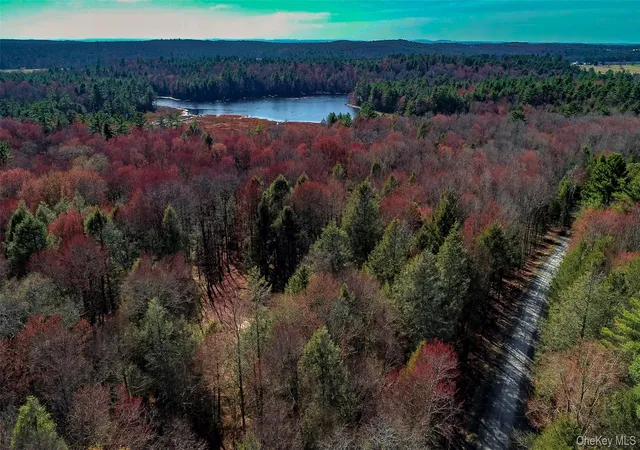 Photo 10 of Land for sale at Lot 2 Deer Meadow Rd, Bethel, NY 12720 | MLS# 984392 | Listing updated on 2026-07-07