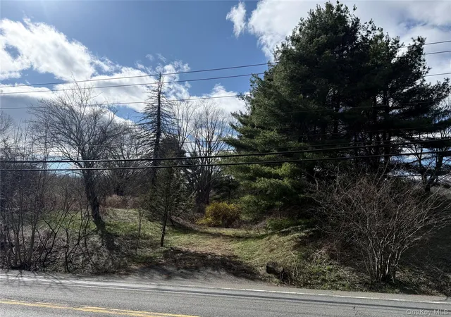 2nd image of 5019 Route 22, Amenia, NY 12501 | MLS# 984477