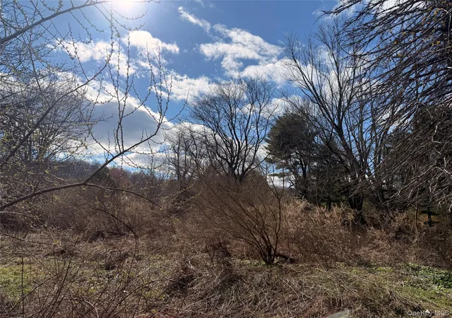 9th image of 5019 Route 22, Amenia, NY 12501 | MLS# 984477