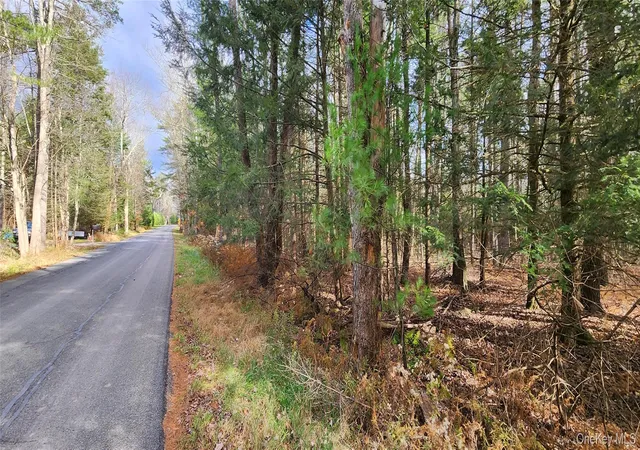 Homes for sale in Thompson, NY | 00 Mongaup Rd, Thompson, NY 12701 | MLS# 984507