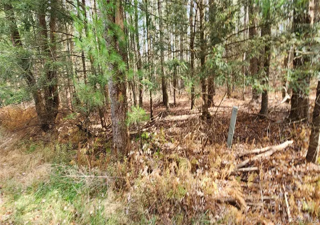 Homes for sale in Thompson, NY | 00 Mongaup Rd, Thompson, NY 12701 | MLS# 984507
