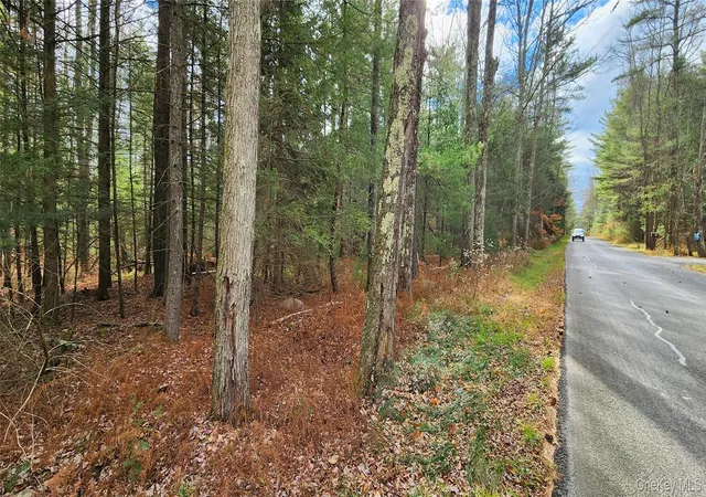 Homes for sale in Thompson, NY | 00 Mongaup Rd, Thompson, NY 12701 | MLS# 984507
