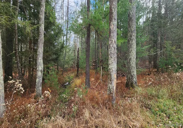 Homes for sale in Thompson, NY | 00 Mongaup Rd, Thompson, NY 12701 | MLS# 984507