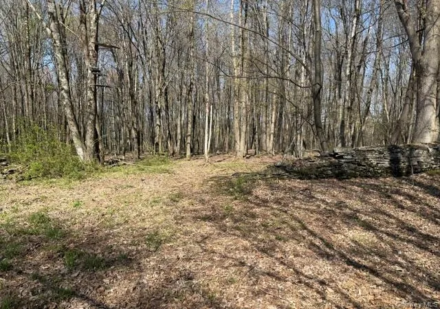 Homes for sale in Liberty, NY | Chaffee Rd, Liberty, NY 12754 | MLS# 984519
