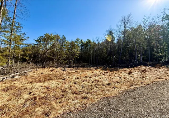 Homes for sale in Highland, NY | Park Ln, Highland, NY 12792 | MLS# 984771