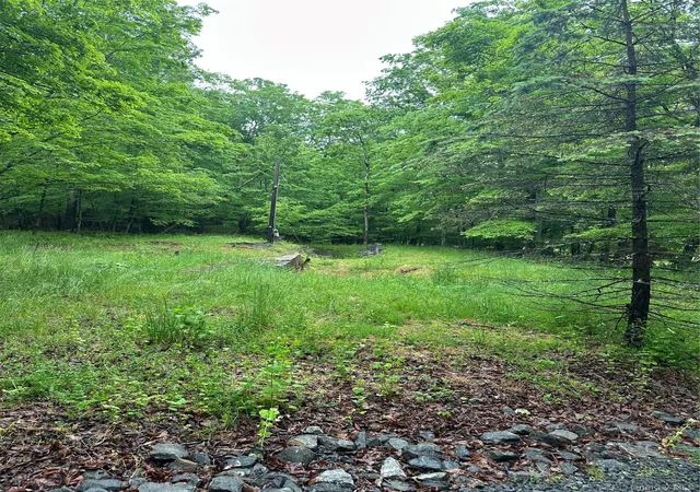 Homes for sale in Cairo, NY | 804 Hearts Content Rd, Cairo, NY 12413 | MLS# 985262