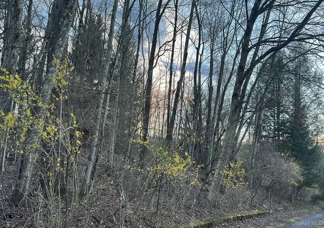Homes for sale in Fallsburg, NY | Tbd Diane Blvd, Fallsburg, NY 12789 | MLS# 985330