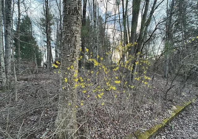 Homes for sale in Fallsburg, NY | Tbd Diane Blvd, Fallsburg, NY 12789 | MLS# 985330
