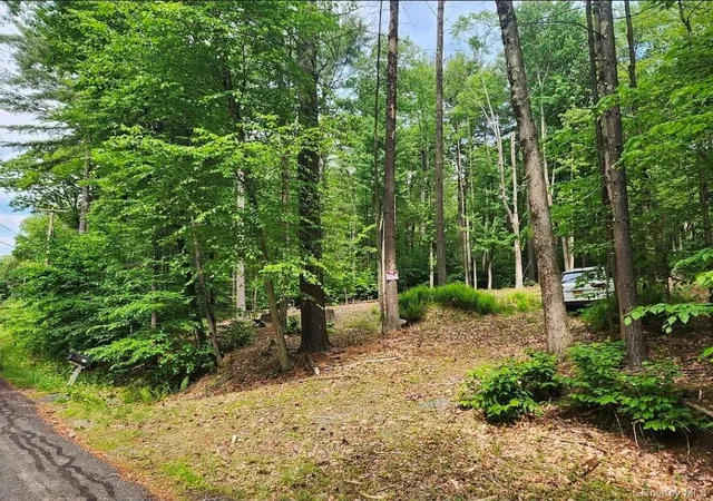 Homes for sale in Thompson, NY | 106 Starlight Dr, Thompson, NY 12701 | MLS# 985417