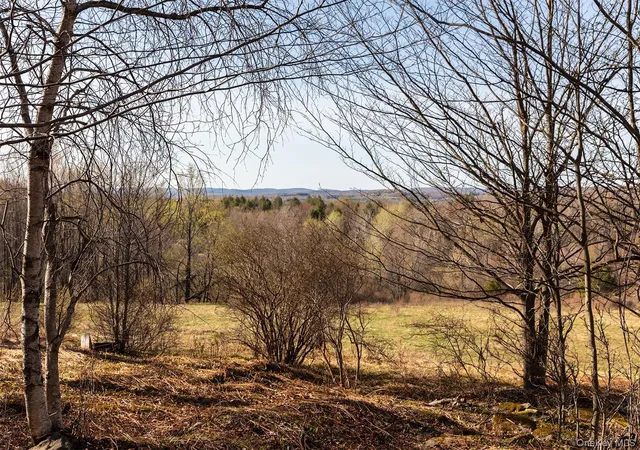 Photo 2 of Land for sale at 1 Hall Hl Rd, Liberty, NY 12768 | MLS# 985520 | Listing updated on 2026-08-04