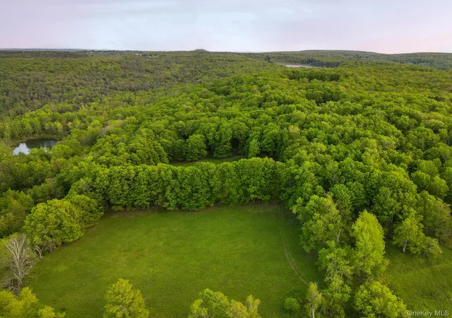 Photo 5 of Land for sale at 1 Hall Hl Rd, Liberty, NY 12768 | MLS# 985520 | Listing updated on 2026-08-04