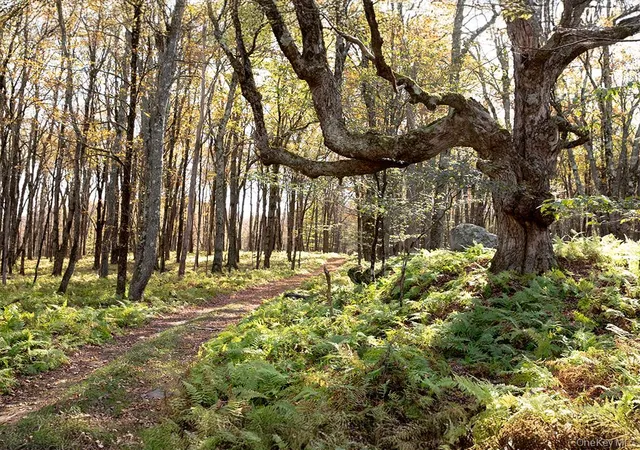 Photo 3 of Land for sale at 1 Hall Hl Rd, Liberty, NY 12768 | MLS# 985520 | Listing updated on 2026-08-04