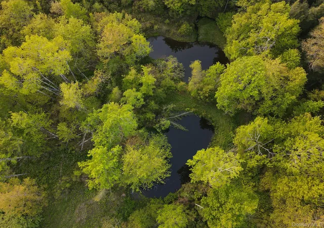 Photo 4 of Land for sale at 1 Hall Hl Rd, Liberty, NY 12768 | MLS# 985520 | Listing updated on 2026-08-04