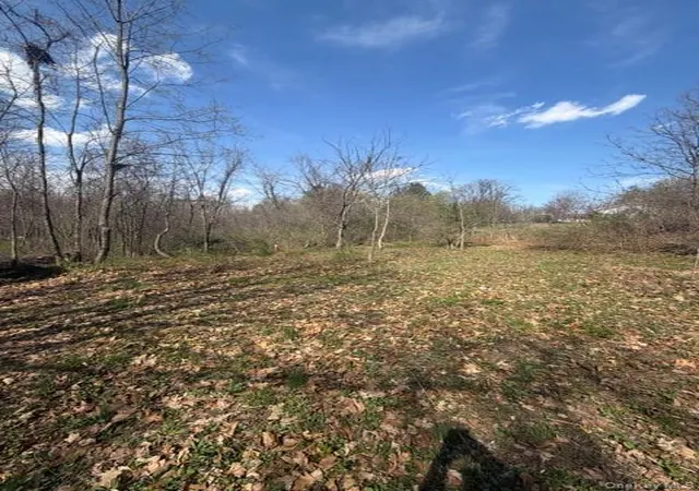 3rd image of 509 Route 9g, Hyde Park, NY 12538 | MLS# 985874