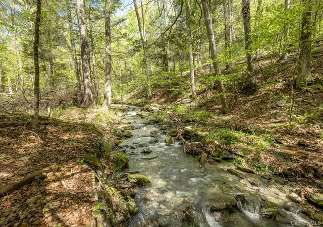 4th image of Overlook Dr, Hillsdale, NY 12529 | MLS# 986731