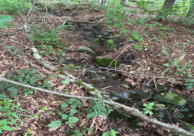 Photo 3 of Land for sale at Frrost Valley Rd, Claryville, NY 12725 | MLS# 986768 | Listing updated on 2026-04-23