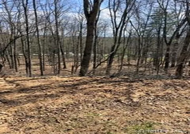 Photo 1 of Land for sale at 14 Old Country Rd, Deerpark, NY 12780 | MLS# 986807 | Listing updated on 2026-04-21
