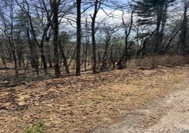 Photo 2 of Land for sale at 14 Old Country Rd, Deerpark, NY 12780 | MLS# 986807 | Listing updated on 2026-04-21