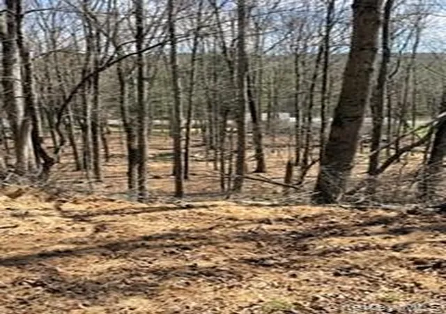 Photo 4 of Land for sale at 14 Old Country Rd, Deerpark, NY 12780 | MLS# 986807 | Listing updated on 2026-04-21