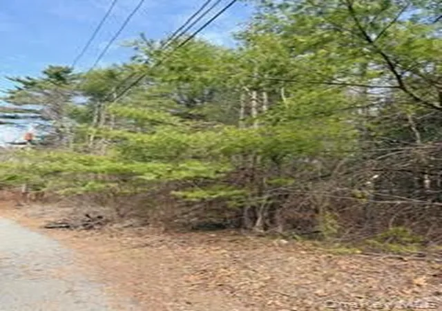 2nd image of 1304 Us Route 209, Deerpark, NY 12729 | MLS# 986814