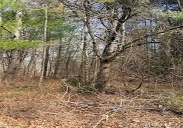 Photo 3 of Land for sale at 1304 US Route 209, Deerpark, NY 12729 | MLS# 986814 | Listing updated on 2026-04-21