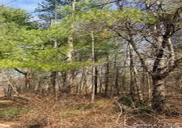 Photo 4 of Land for sale at 1304 US Route 209, Deerpark, NY 12729 | MLS# 986814 | Listing updated on 2026-04-21