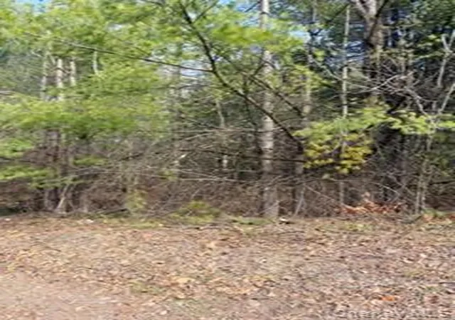 8th image of 1304 Us Route 209, Deerpark, NY 12729 | MLS# 986814