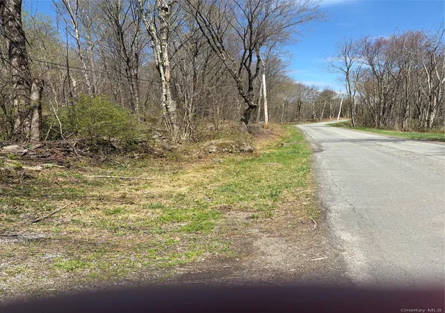 1st image of 209 Stream Hollow, Ellenville, NY 12428 | MLS# 987402