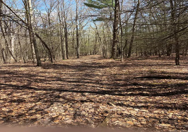 27th image of 209 Stream Hollow, Ellenville, NY 12428 | MLS# 987402