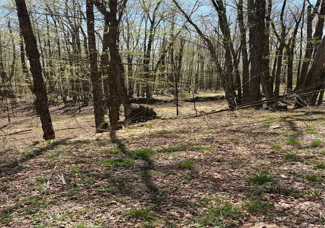 4th image of 209 Stream Hollow, Ellenville, NY 12428 | MLS# 987402