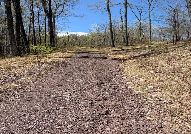 5th image of 209 Stream Hollow, Ellenville, NY 12428 | MLS# 987402