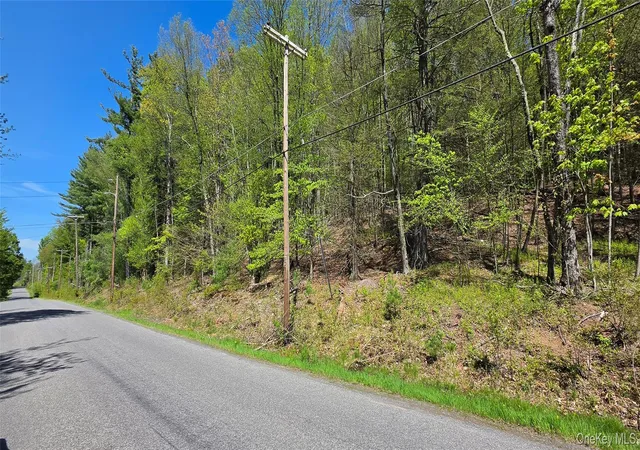 Homes for sale in Thompson, NY | Hamilton Rd, Thompson, NY 12701 | MLS# 987489