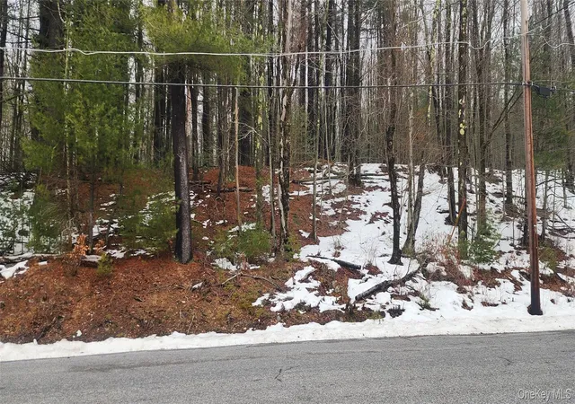 Homes for sale in Thompson, NY | Hamilton Rd, Thompson, NY 12701 | MLS# 987489