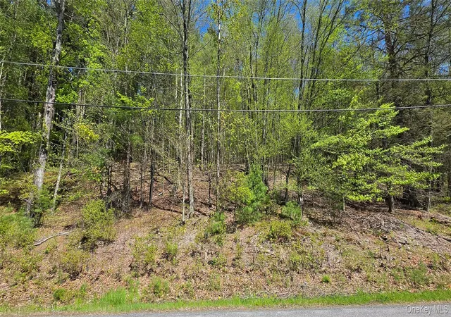 Homes for sale in Thompson, NY | Hamilton Rd, Thompson, NY 12701 | MLS# 987489