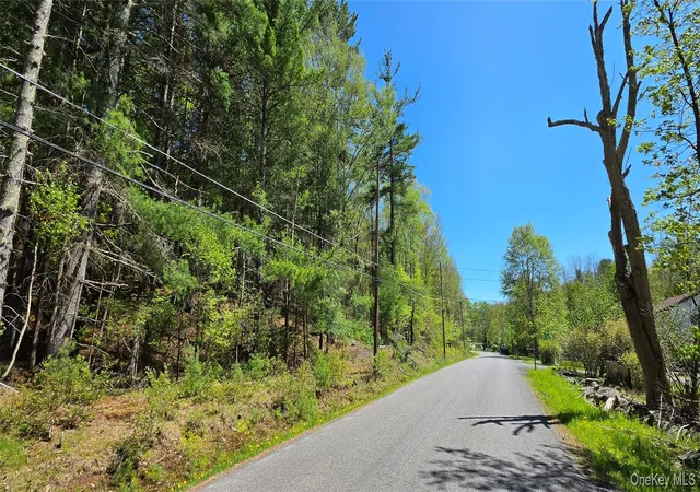 Homes for sale in Thompson, NY | Hamilton Rd, Thompson, NY 12701 | MLS# 987489